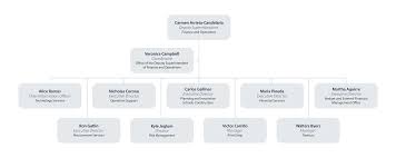 Finance And Operations Organizational Chart