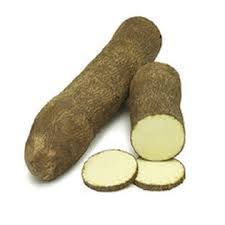 Image result for Dioscorea cayenensis