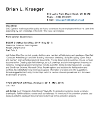 brian krueger resume cad
