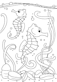 While they achieve, confidence and pride are theirs. Free Seahorse Coloring Pages For Download Pdf Verbnow