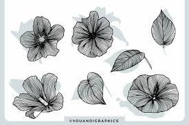 The file (high resolution) available in : Lineart Floral Patterns Elements E4934 Youworkforthem