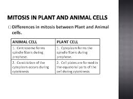 Plant and animal cell mitosis differences. Life Sciences Grade 10 Caps Structured Clear Practical