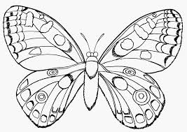 Ausmalbilder Schmetterling Und Raupe 1ausmalbildercom