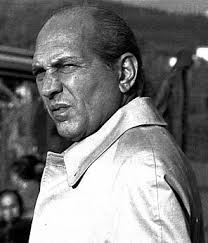 FIORENTINA CAMPIONATO 1980'81