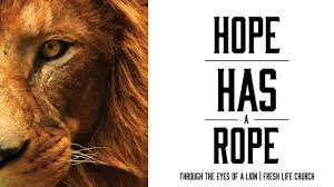 Levi lusko's book for your gift: Hope Has A Rope Fresh Life Church