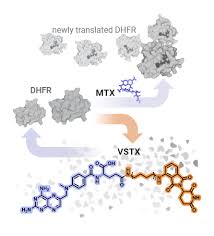 Image result for Methotrexate