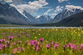 The comprehensive weather resource is aimed at climbers, mountaineers, hillwalkers, hikers or outdoor enthusiasts planning expeditions where mountain weather is critical. Photographer Showcases Images Of The Nature Surrounding Her In Russia Beautiful Nature Spring Pictures Nature