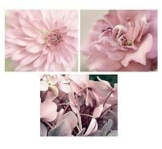 While i'm taking almost up to a year to decide on a very light (and safe choice) grey to paint the pink is still uber popular and it's the perfect shade to welcome spring. Amazon Com Flower Photography Set Of 3 Prints Modern Art Fine Art Photography Dusty Pink Bedroom Wall Art Pastel Pink Floral Decor Living Room Wall Decor Baby Girl Nursery Wall Art Print