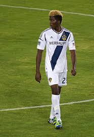 Gyasi zardes is a promising american footballer who has represented the national soccer team in numerous international fixtures and presently plays for la galaxy, a major american soccer club. Gyasi Zardes Wikidata