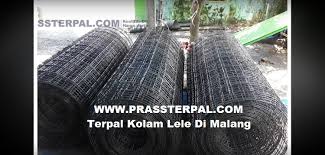 Terpal Kolam Lele Di Malang Paling Murah Prassterpal Com