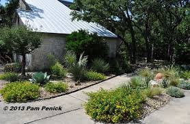 Shirley Fox S Golden Xeriscape Garden In San Antonio Digging Xeriscape Landscaping Drought Tolerant Garden Xeriscape
