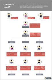 an organizational chart represents the roles and reporting