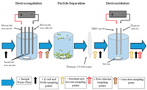 A map and flushing schedule is available here. Water Free Full Text Electrocoagulation As A Pretreatment For Electroxidation Of E Coli Html