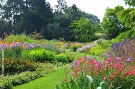 Summer Flower And Steam Spectacular At Bressingham A Great Day Out For All The Family Beautiful Gardens Garden Visits Summer Flowers