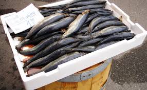 Matjeshering Aus Holland Aus Dem Leben Eines Herings Fisch Gruber