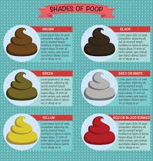 Image result for blood in stool human poop