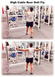 Maybe you would like to learn more about one of these? High Cable Rear Delt Fly Is A Great Exercise For Isolating The Posterior Muscles Of The Shoulders I Cable Workout Back And Shoulder Workout Back Cable Workout