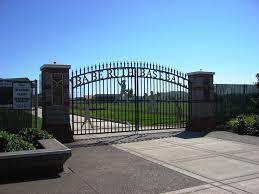 Profile for Willamette Valley BABE RUTH