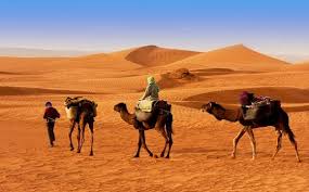 10 Activites A Faire A Djerba Excursion Dans Le Desert Djerba Paysage France Photo Algerie
