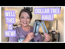DOLLAR TREE HAUL