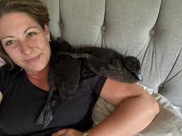 Josh Clift's Instagram, Twitter & Facebook