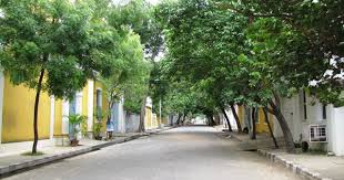 8 Ways To Experience Pondicherry Pondicherry Puducherry Places To Visit