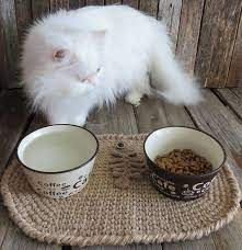 Cat Food Mats Cat Placemat Pet Mat Cat Mat Crochet Placemat Wellness Cat Food Healthy Cat Food Organic Cat Food