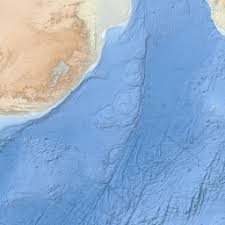 Image result for Calostephane