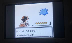 Shiny Miltank Pokemon Crystal 1 /64 Odds (Shiny Ditto) After 50 Eggs 9 /10  /2022 ✨🐮💜 | Pokémon Amino