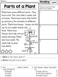 Primarily Plants Unit For K 1 Two Week Science Math And Literacy Unit With Reading Comprehension Lessons Reading Comprehension Reading Comprehension For Kids