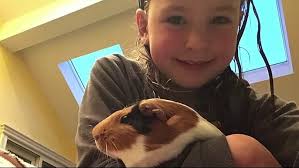 Beloit's Todd Elementary School has decorated coffee cups with kind words  for National Random Acts o