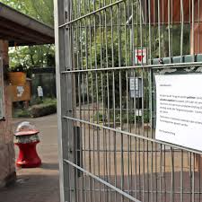 Die testpflicht gilt nicht für geimpfte/genesene. Corona Testpflicht Setzt Tiergarten Stendal Heftig Zu Stendal