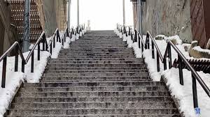 Bronx Residents Approve of Snow Cleanup