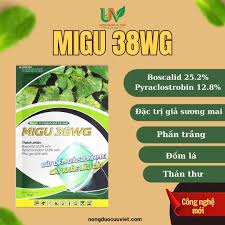 Migu 38WG