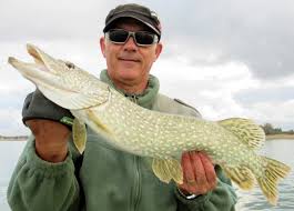 Check spelling or type a new query. Captures 2020 Peche Au Lac Du Der