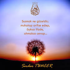 Susmak Ne Guzeldir Muhatap Arifse Edep Asiksa Ifade Ahmaksa Cevap Serdar Tuncer Kaynak Facebook Serdar Tuncer So Susmak Ozlu Sozler Manevi