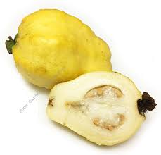 Image result for Psidium guajava