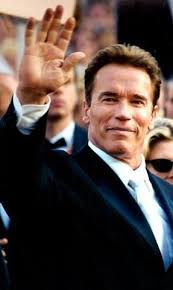 Will Arnold Schwarzenegger Be Able To Revive His Acting Career?