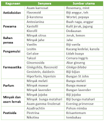 Kimia Bahan Alam Apa Pentingnya Bagi Kehidupan Manusia