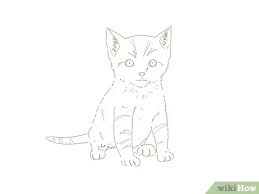 Mereka anggun dan kuat, dan tubuh mereka memiliki ritme yang sederhana namun indah. 4 Cara Untuk Menggambar Anak Kucing Wikihow