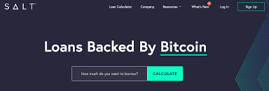 Buy bitcoin with loan, convert your bitcoin into currency, buy alt coins, do anything you want with your fast bitcoin loan. 5 Best Bitcoin Loan Sites To Get A Bitcoin Loan Thinkmaverick My Personal Journey Through Entrepreneurship