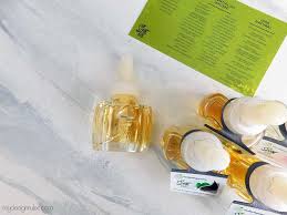 Order by 6 pm for same day shipping. The Best Natural Plugin Air Freshener That Won T Make You Sick My Design Rules