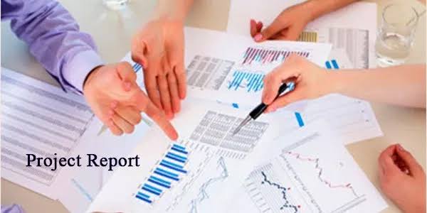 Project Report and Business Plan Preparation product image