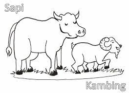 Jadi gambar tersebut tidak hanya sekedar menghibur tetapi juga memberikan motivasi dan inspirasi kehidupan kamu. 530 Koleksi Gambar Mewarnai Binatang Qurban Hd Gambar Hewan