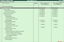 Image result for Schedule VI-Corporates Report