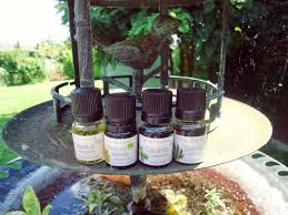 Recette Serum Anti Rougeurs Et Couperose Anti Rougeur Couperose Produits De Beaute Naturels