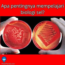 Maybe you would like to learn more about one of these? Contoh Soal Menjodohkan Biologi