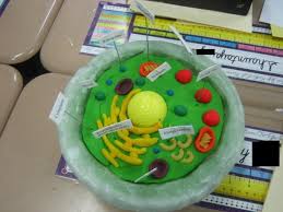 Check spelling or type a new query. 11 Cell Models Ideas Cell Model Cells Project Science Cells