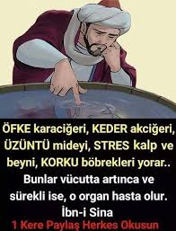 Gulsen Ozkan Adli Kullanicinin Pratik Bilgiler Panosundaki Pin Saglik Saglik Ipuclari Bilgi