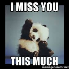 60 Cutest I Miss You Memes Of All Time Sayingimages Com Panda Baby Chickens Bear